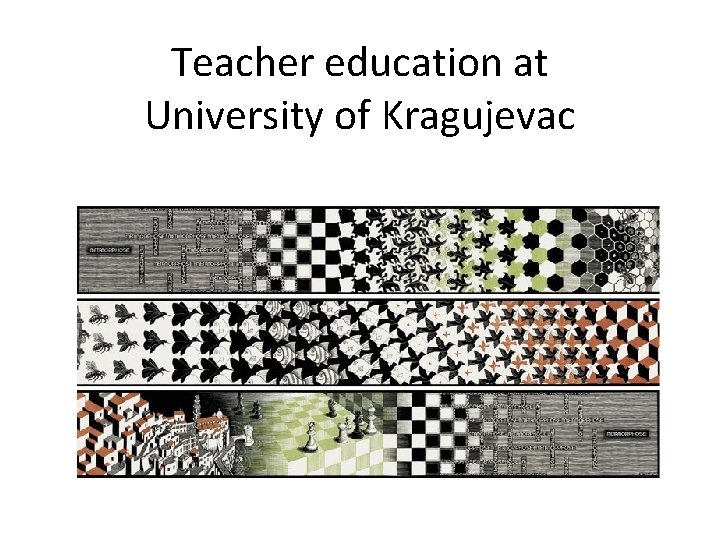 Teacher education at University of Kragujevac 