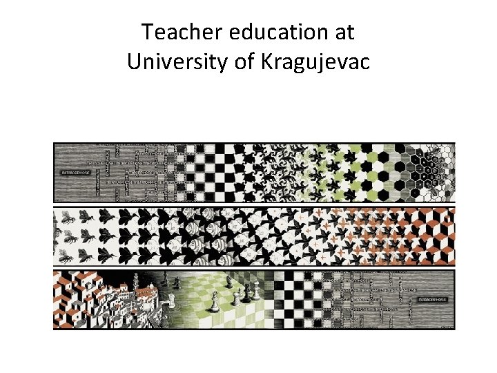 Teacher education at University of Kragujevac 