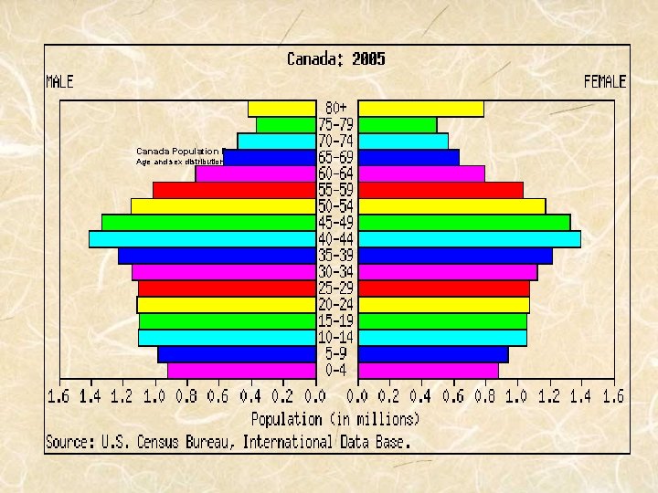 Canada Population Pyramid for 2005 Age and sex distribution for the year 2005: 