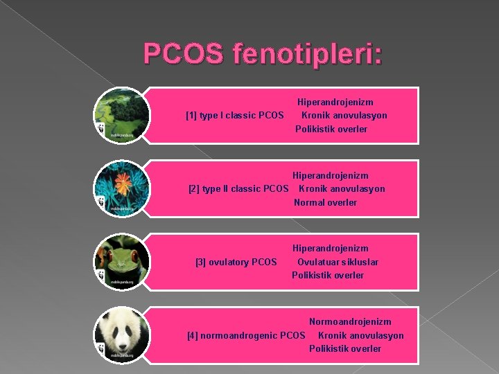 PCOS fenotipleri: [1] type I classic PCOS Hiperandrojenizm Kronik anovulasyon Polikistik overler Hiperandrojenizm [2]