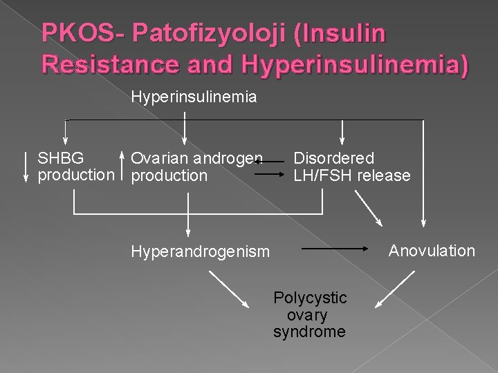 PKOS- Patofizyoloji (Insulin Resistance and Hyperinsulinemia) Hyperinsulinemia SHBG Ovarian androgen production Disordered LH/FSH release