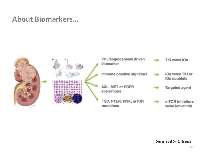 About Biomarkers… Cortesía del Dr. E. Grande 45 