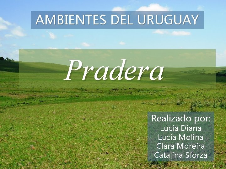 AMBIENTES DEL URUGUAY PRADERA Pradera Trabajo realizado por: Lucía Molina Lucía Diana Realizado por: