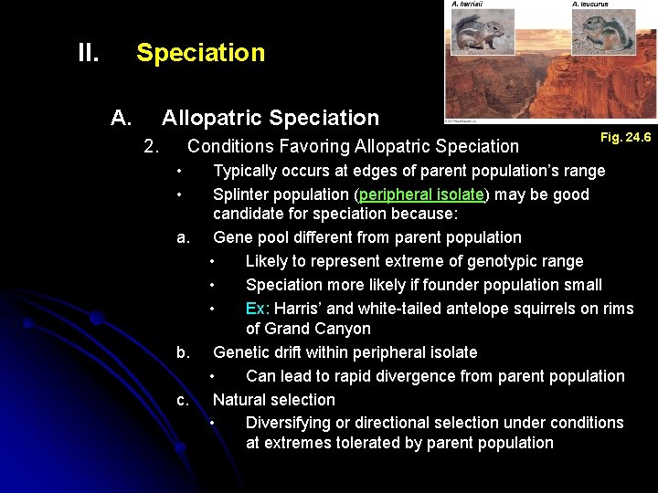 II. Speciation A. Allopatric Speciation 2. Conditions Favoring Allopatric Speciation • • a. b.