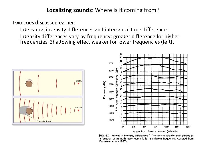 Localizing sounds: Where is it coming from? Two cues discussed earlier: Inter-aural intensity differences