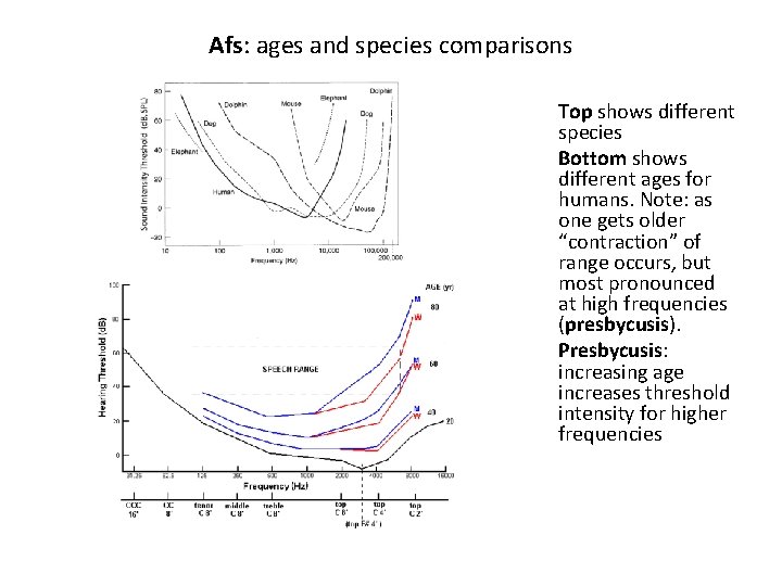 Afs: ages and species comparisons Top shows different species Bottom shows different ages for