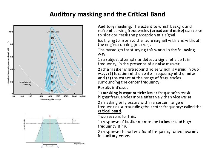 Auditory masking and the Critical Band Auditory masking: The extent to which background noise