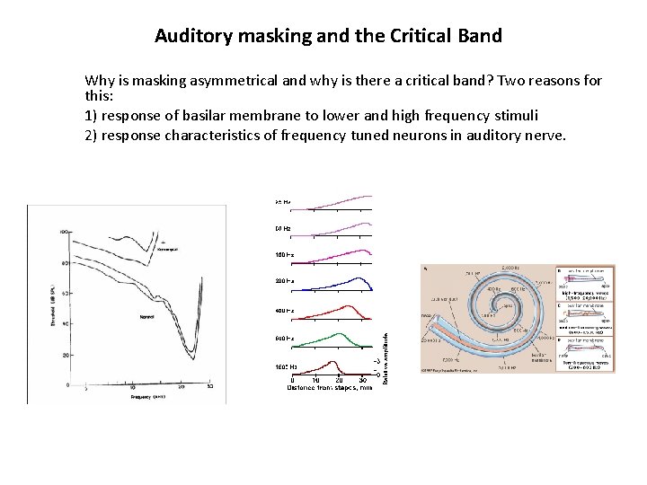 Auditory masking and the Critical Band Why is masking asymmetrical and why is there