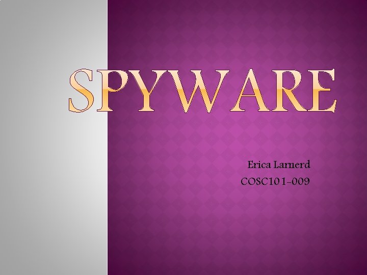 Erica Larnerd COSC 101 -009 