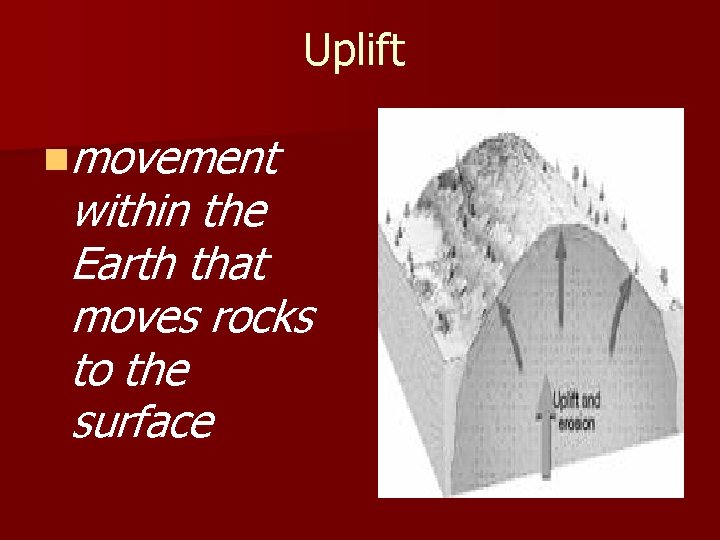 Uplift nmovement within the Earth that moves rocks to the surface 