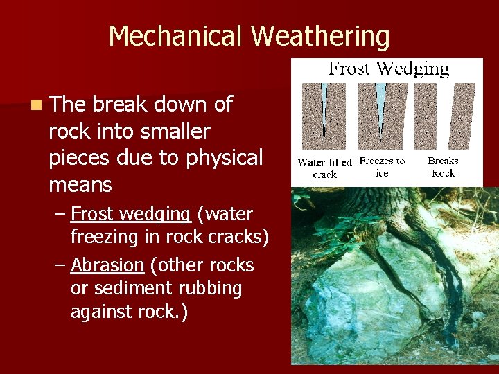 Mechanical Weathering n The break down of rock into smaller pieces due to physical