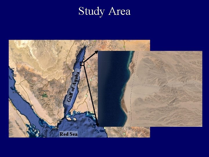 Gulf of A qaba Study Area Red Sea 