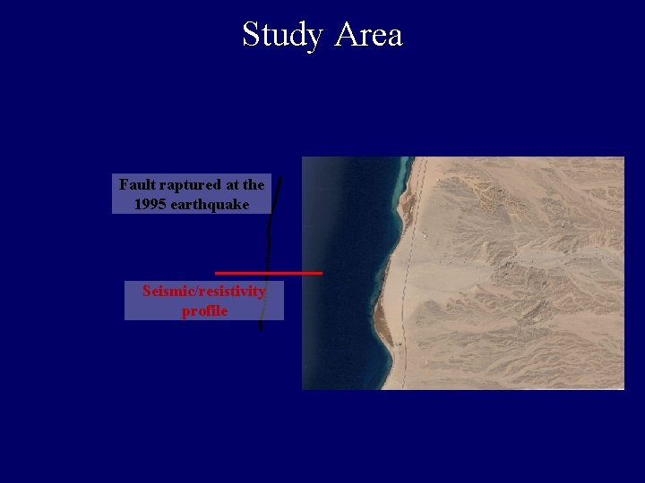Study Area Fault raptured at the 1995 earthquake Seismic/resistivity profile 
