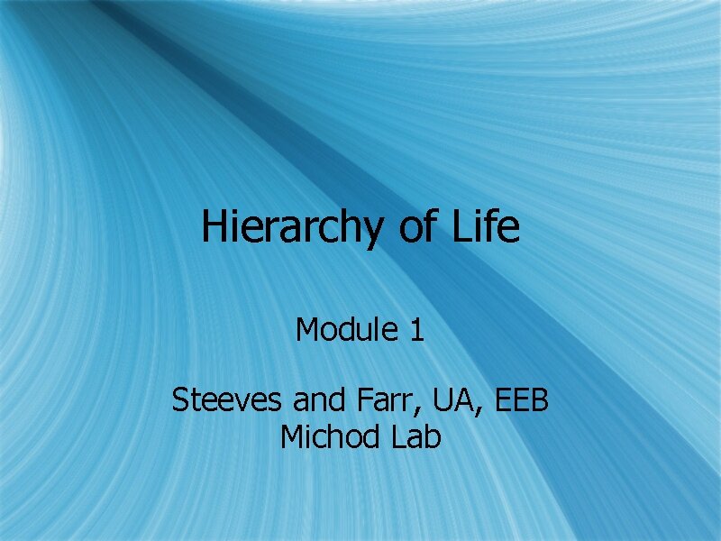 Hierarchy of Life Module 1 Steeves and Farr, UA, EEB Michod Lab 