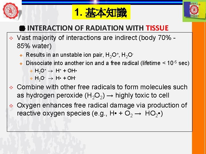 1. 基本知識 INTERACTION OF RADIATION WITH TISSUE v Vast majority of interactions are indirect