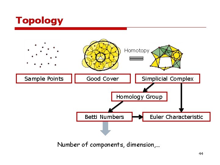 Topology Homotopy Sample Points Good Cover Simplicial Complex Homology Group Betti Numbers Euler Characteristic Topology Homotopy Sample Points Good Cover Simplicial Complex Homology Group Betti Numbers Euler Characteristic