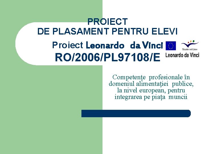 PROIECT DE PLASAMENT PENTRU ELEVI Proiect Leonardo da Vinci RO/2006/PL 97108/E Competenţe profesionale în