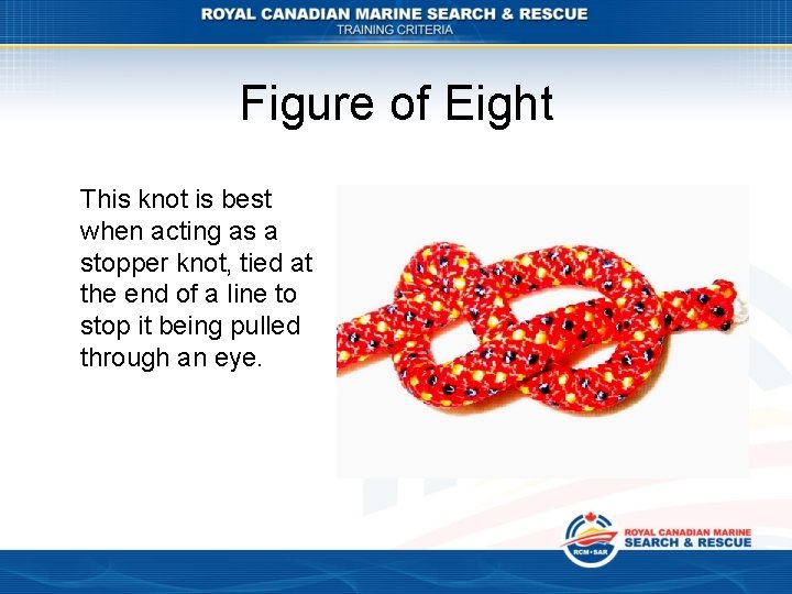 Figure of Eight This knot is best when acting as a stopper knot, tied