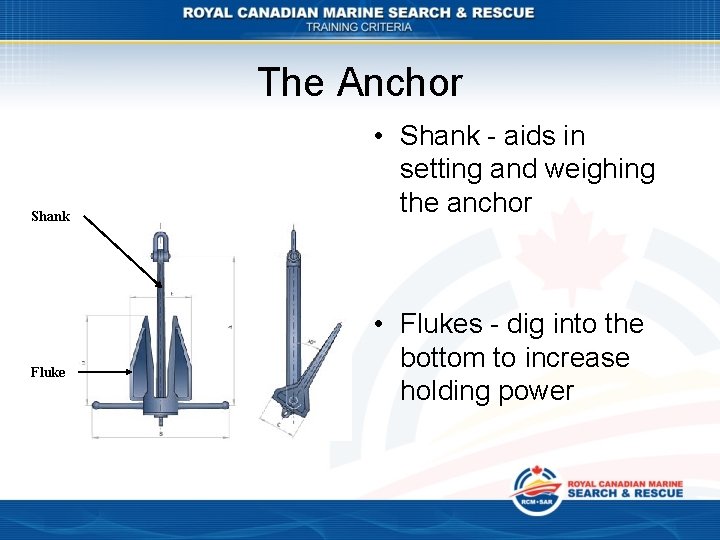 The Anchor Shank Fluke • Shank - aids in setting and weighing the anchor