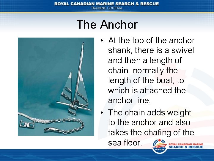 The Anchor • At the top of the anchor shank, there is a swivel