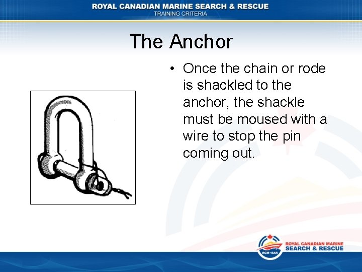 The Anchor • Once the chain or rode is shackled to the anchor, the