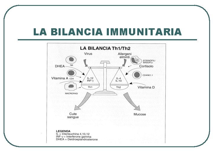 LA BILANCIA IMMUNITARIA 