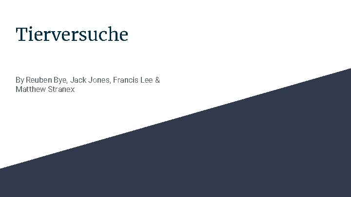 Tierversuche By Reuben Bye, Jack Jones, Francis Lee & Matthew Stranex 