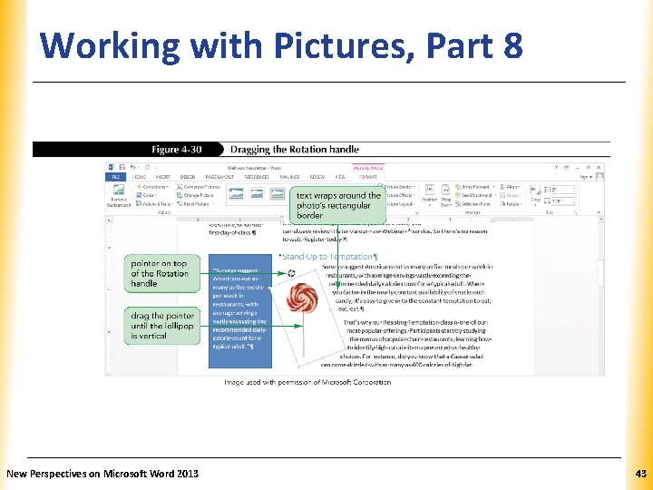 Working with Pictures, Part 8 New Perspectives on Microsoft Word 2013 XP 43 