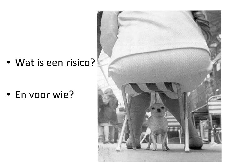  • Wat is een risico? • En voor wie? 