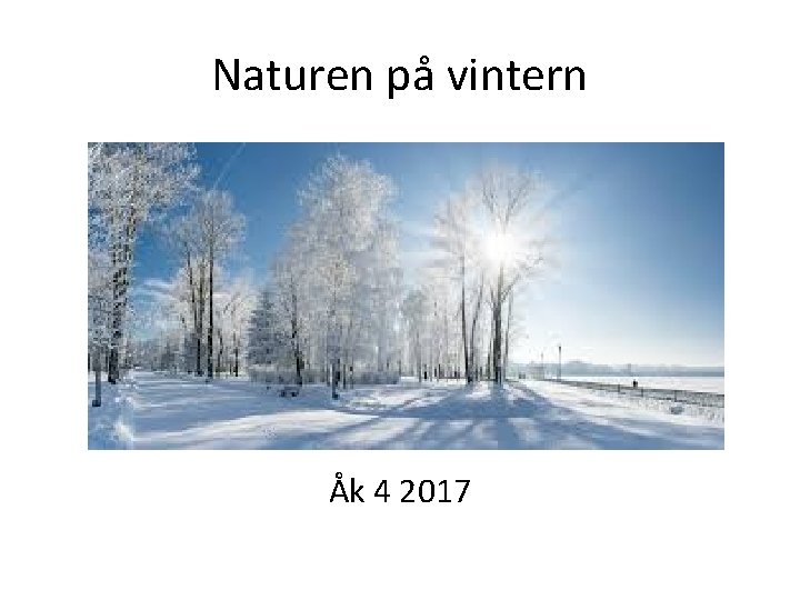 Naturen på vintern Åk 4 2017 