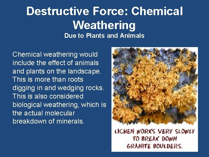 Destructive Force: Chemical Weathering Due to Plants and Animals Chemical weathering would include the