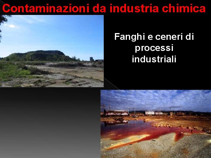 Contaminazioni da industria chimica Fanghi e ceneri di processi industriali 