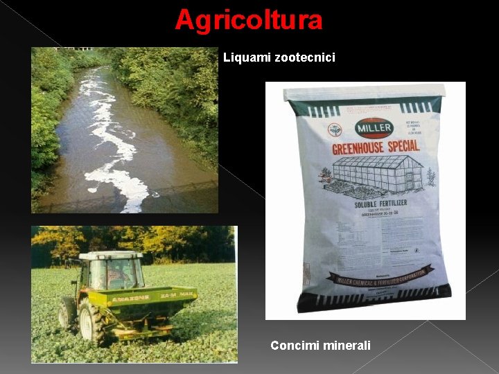 Agricoltura Liquami zootecnici Concimi minerali 