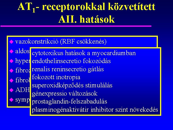 AT 1 - receptorokkal közvetített AII. hatások u vazokonstrikció (RBF csökkenés) u aldosteron szintézis/secretio