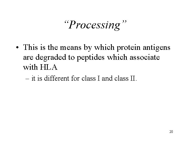 “Processing” • This is the means by which protein antigens are degraded to peptides