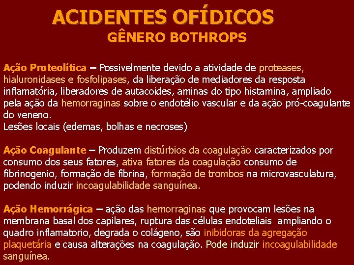 ACIDENTES OFÍDICOS GÊNERO BOTHROPS Ação Proteolítica – Possivelmente devido a atividade de proteases, hialuronidases