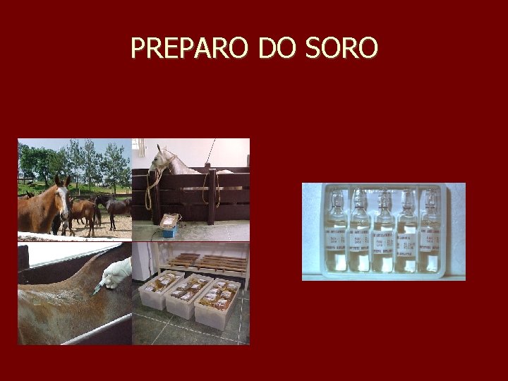 PREPARO DO SORO 