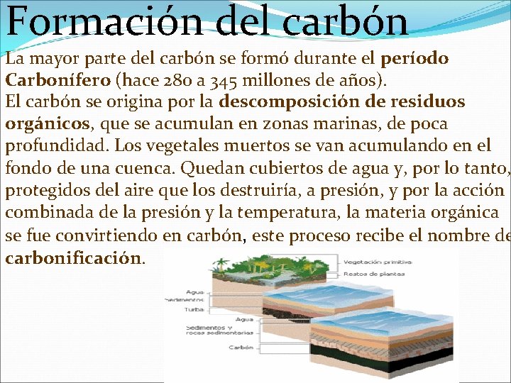 Formación del carbón La mayor parte del carbón se formó durante el período Carbonífero