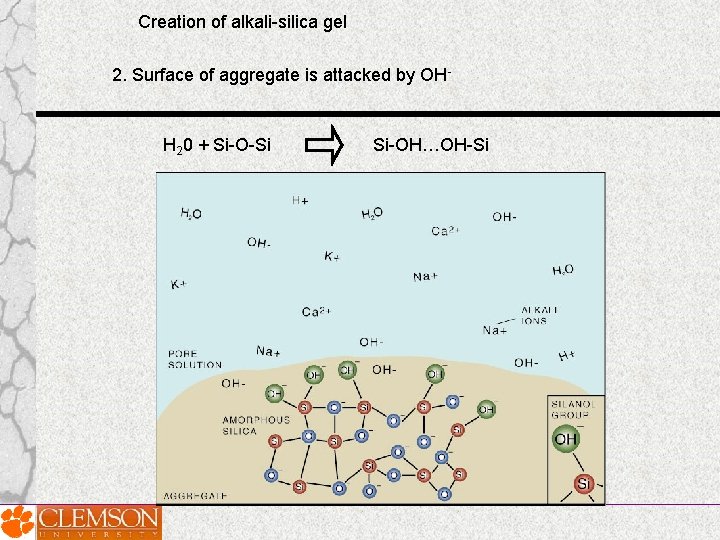 Creation of alkali-silica gel 2. Surface of aggregate is attacked by OH- H 20 Creation of alkali-silica gel 2. Surface of aggregate is attacked by OH- H 20
