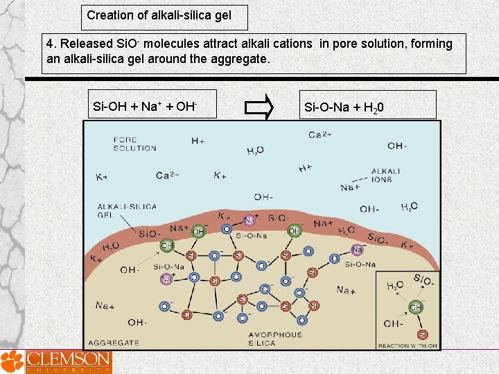 Creation of alkali-silica gel 4. Released Si. O- molecules attract alkali cations in pore Creation of alkali-silica gel 4. Released Si. O- molecules attract alkali cations in pore