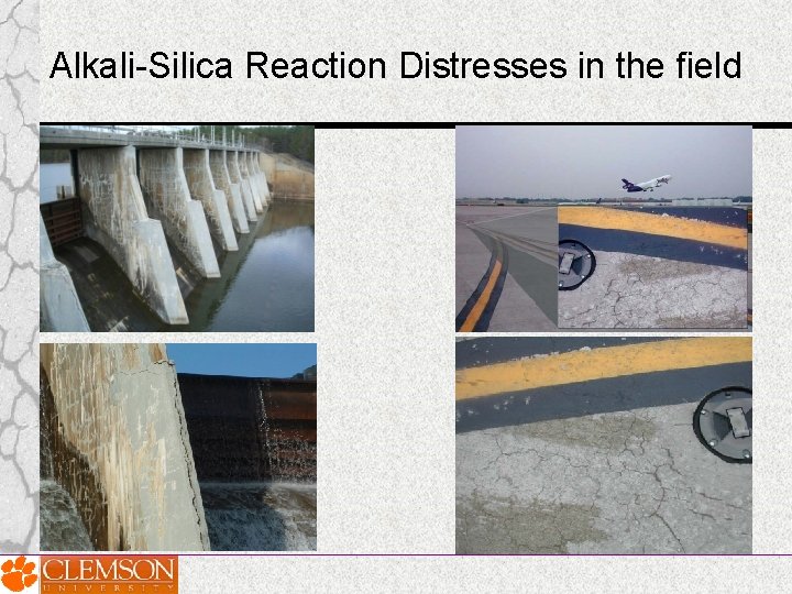 Alkali-Silica Reaction Distresses in the field Alkali-Silica Reaction Distresses in the field