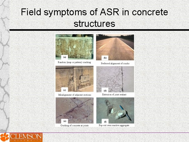 Field symptoms of ASR in concrete structures Field symptoms of ASR in concrete structures