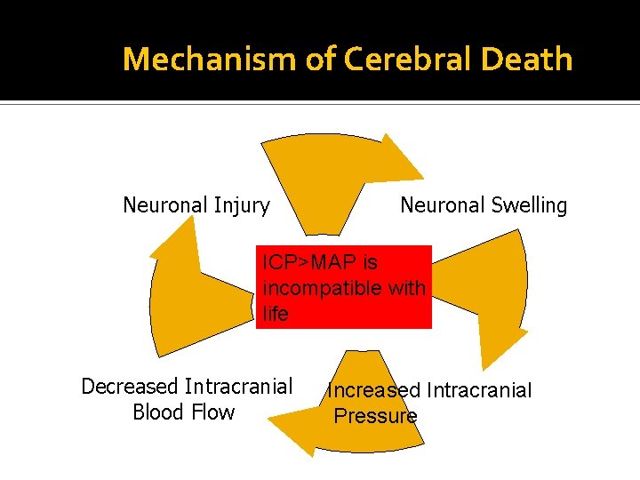 Mechanism of Cerebral Death Neuronal Injury Neuronal Swelling ICP>MAP is incompatible with life Decreased