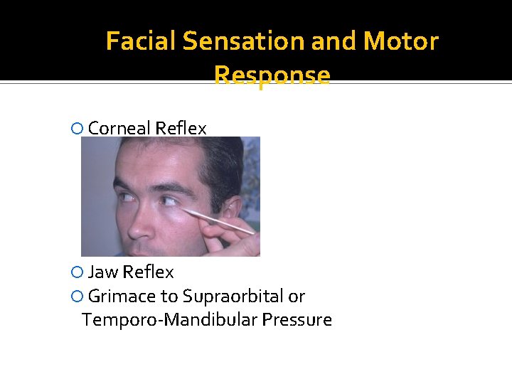 Facial Sensation and Motor Response Corneal Reflex Jaw Reflex Grimace to Supraorbital or Temporo-Mandibular