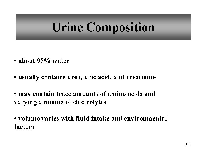 Urine Composition • about 95% water • usually contains urea, uric acid, and creatinine