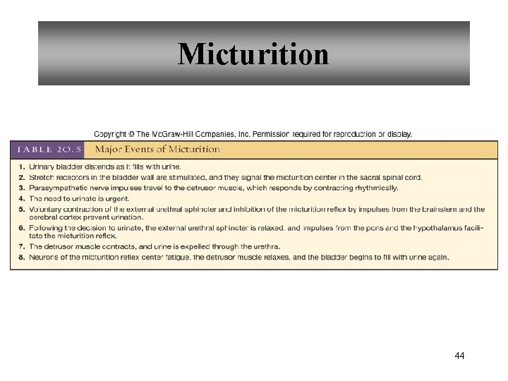 Micturition 44 