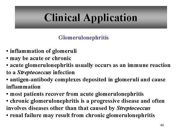 Clinical Application Glomerulonephritis • inflammation of glomeruli • may be acute or chronic •