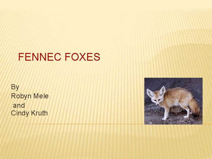 FENNEC FOXES By Robyn Mele and Cindy Kruth 