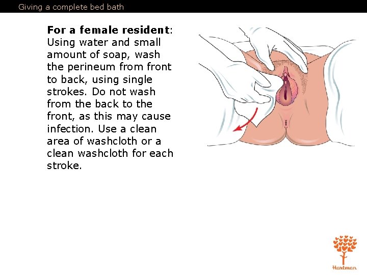 Giving a complete bed bath For a female resident: Using water and small amount