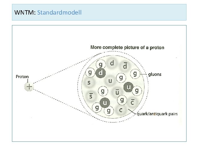 WNTM: Standardmodell 